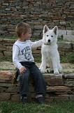 ENFANT ET CHIEN 454